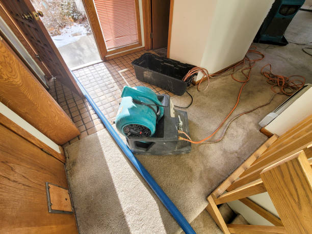 Best Water damage mitigation services  in Tenaha, TX