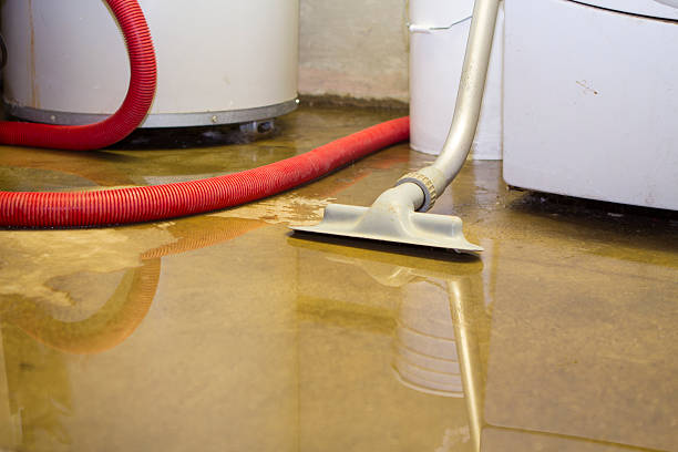 Best Water damage restoration company  in Tenaha, TX