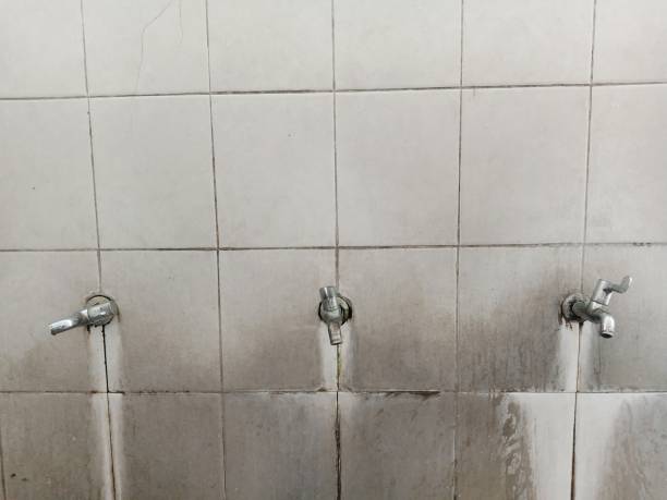 Best 24/7 water damage repair  in Tenaha, TX